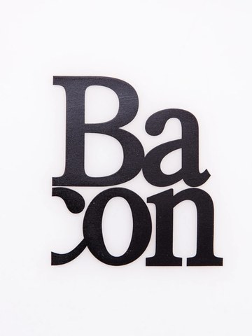 Чехол на взуття BACON